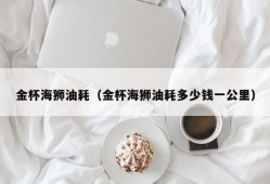 金杯海狮油耗（金杯海狮油耗多少钱一公里）