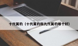 十代翼豹（十代翼豹和九代翼豹哪个好）