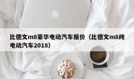 比德文m8豪华电动汽车报价（比德文m8纯电动汽车2018）