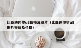 比亚迪仰望u8价格及图片（比亚迪仰望u8图片报价及价格）