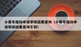 小客车指标申请审核结果查询（小客车指标申请审核结果查询不到）