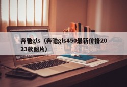 奔驰gls（奔驰gls450最新价格2023款图片）