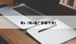 粤s（粤s是广东哪个市）