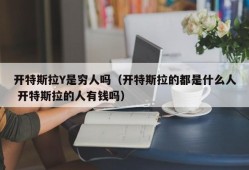 开特斯拉Y是穷人吗（开特斯拉的都是什么人 开特斯拉的人有钱吗）