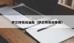 伊兰特悦动油耗（伊兰特悦动参数）