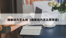 潍柴动力怎么样（潍柴动力怎么样待遇）