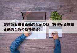 汉唐油电两用电动汽车的价格（汉唐油电两用电动汽车的价格及图片）