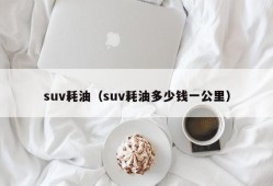 suv耗油（suv耗油多少钱一公里）