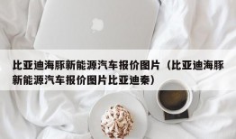 比亚迪海豚新能源汽车报价图片（比亚迪海豚新能源汽车报价图片比亚迪秦）