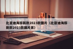 比亚迪海豚新款2023款图片（比亚迪海豚新款2023款图片紫）