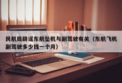 民航局辟谣东航坠机与副驾驶有关（东航飞机副驾驶多少钱一个月）