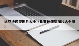 比亚迪仰望图片大全（比亚迪仰望图片大全图）