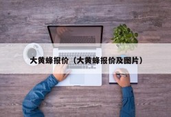 大黄蜂报价（大黄蜂报价及图片）