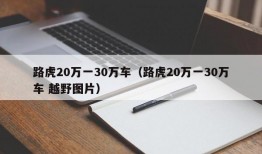 路虎20万一30万车（路虎20万一30万车 越野图片）