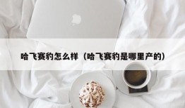 哈飞赛豹怎么样（哈飞赛豹是哪里产的）