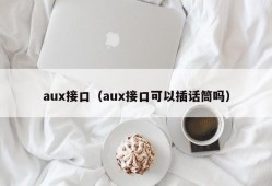 aux接口（aux接口可以插话筒吗）