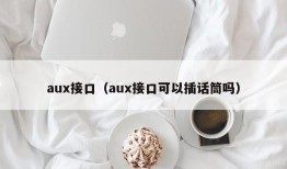 aux接口（aux接口可以插话筒吗）