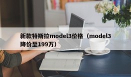 新款特斯拉model3价格（model3降价至199万）