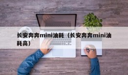 长安奔奔mini油耗（长安奔奔mini油耗高）