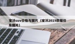 宝沃suv价格与图片（宝沃2019款报价及图片）