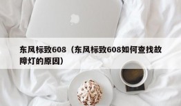 东风标致608（东风标致608如何查找故障灯的原因）