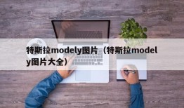 特斯拉modely图片（特斯拉modely图片大全）