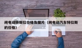 纯电动特斯拉价格及图片（纯电动汽车特拉斯的价格）