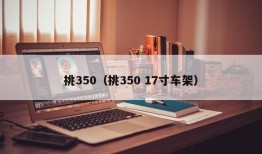 挑350（挑350 17寸车架）