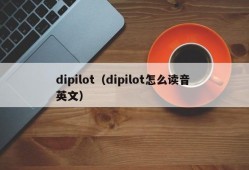 dipilot（dipilot怎么读音 英文）