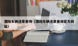 濮阳车辆违章查询（濮阳车辆违章查询官方网站）