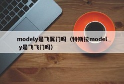 modely是飞翼门吗（特斯拉model y是飞飞门吗）