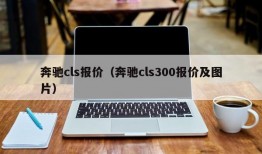 奔驰cls报价（奔驰cls300报价及图片）