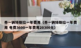 养一辆特斯拉一年费用（养一辆特斯拉一年费用 电费3600一年费用20300元）