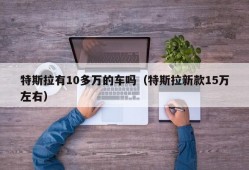 特斯拉有10多万的车吗（特斯拉新款15万左右）