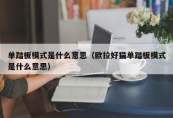 单踏板模式是什么意思（欧拉好猫单踏板模式是什么意思）