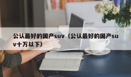 公认最好的国产suv（公认最好的国产suv十万以下）