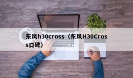 东风h30cross（东风H30Cross口碑）