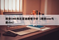 理想ONE和比亚迪唐哪个好（理想one与唐dm）