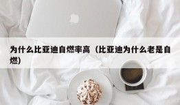 为什么比亚迪自燃率高（比亚迪为什么老是自燃）