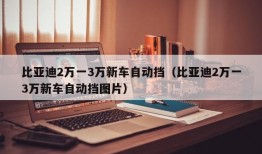 比亚迪2万一3万新车自动挡（比亚迪2万一3万新车自动挡图片）