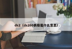 ds2（ds260表格是什么意思）