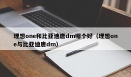 理想one和比亚迪唐dm哪个好（理想one与比亚迪唐dm）