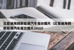 比亚迪海鸥新能源汽车报价图片（比亚迪海鸥新能源汽车报价图片2022）