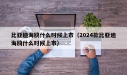 比亚迪海鸥什么时候上市（2024款比亚迪海鸥什么时候上市）