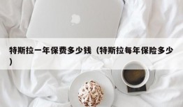 特斯拉一年保费多少钱（特斯拉每年保险多少）