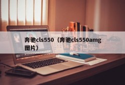 奔驰cls550（奔驰cls550amg图片）