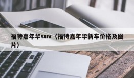 福特嘉年华suv（福特嘉年华新车价格及图片）