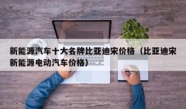 新能源汽车十大名牌比亚迪宋价格（比亚迪宋新能源电动汽车价格）