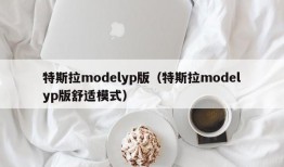 特斯拉modelyp版（特斯拉modelyp版舒适模式）