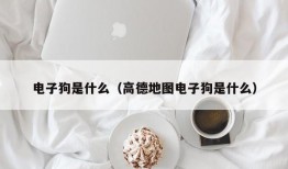 电子狗是什么（高德地图电子狗是什么）